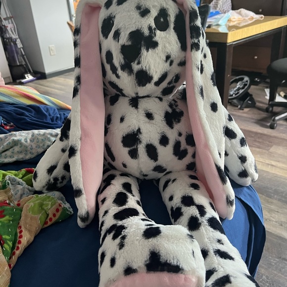 Cute long eared bunny - Picture 3 of 3